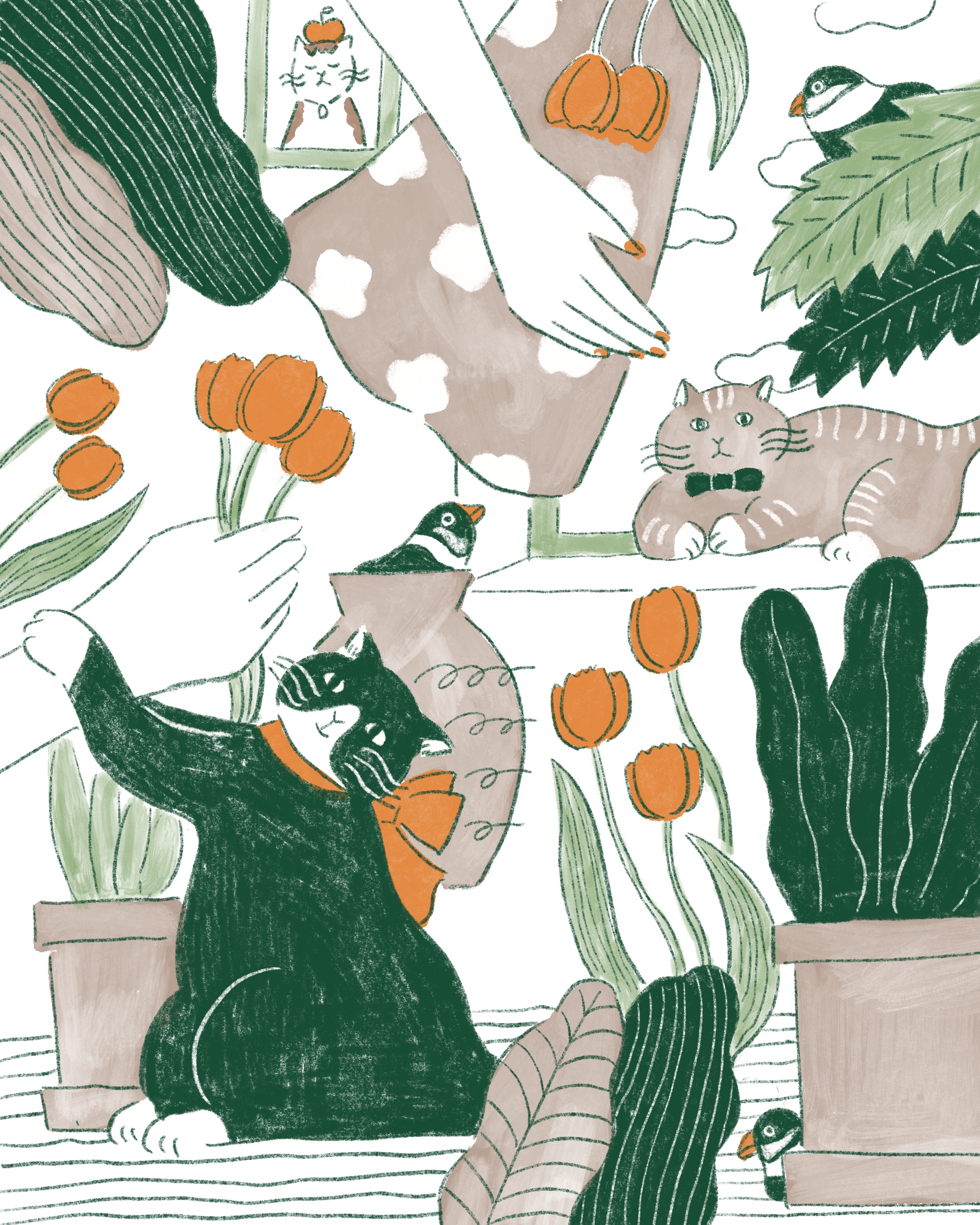 文鳥と猫と飼い主